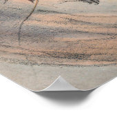 Das Rhinoceros Hornbill von Joseph Wolf Poster (Ecke)