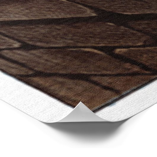 Das Richterposter Poster (Ecke)