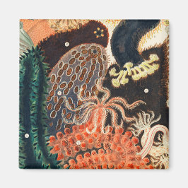 Das Riff der Großen Barriere Australiens Magnet