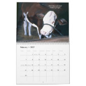 'Das RinderComedy Kalender (Feb 2027)