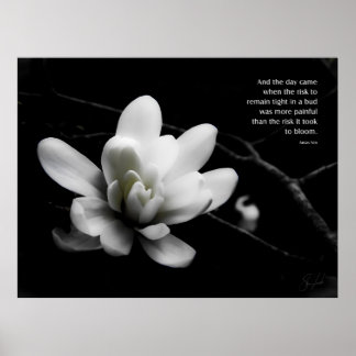 Das Risiko zu blühen Poster