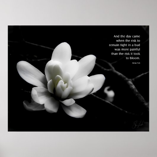 Das Risiko zu blühen Poster (Vorne)