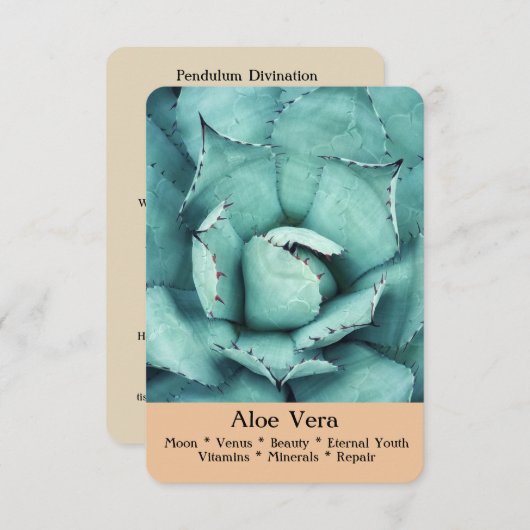 Das Ritual, die Weissagung u. die heilenden Karten (Vorne/Hinten)