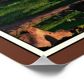 Das römische Kolosseum Poster (Ecke)