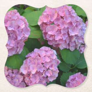 Das rosa Hortensia-Hydrangea-Party Untersetzer