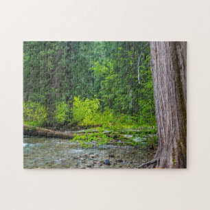 Das Ross Creek Cedars Scenic Area Puzzle