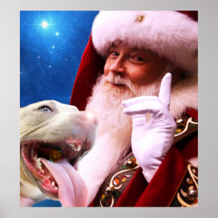 das Rot roch Pitbull Hund u. Weihnachtsmann Poster