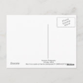 Das rote Eichhörnchen, das herumhing Postkarte (Rückseite)