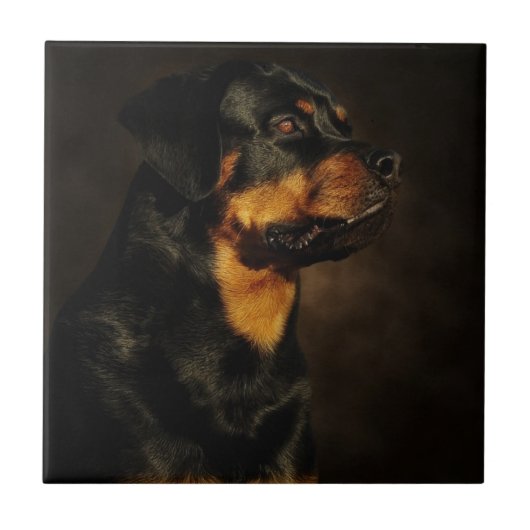 Das Rotty Fliese (Vorderseite)