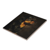 Das Rotty Fliese (Seite)