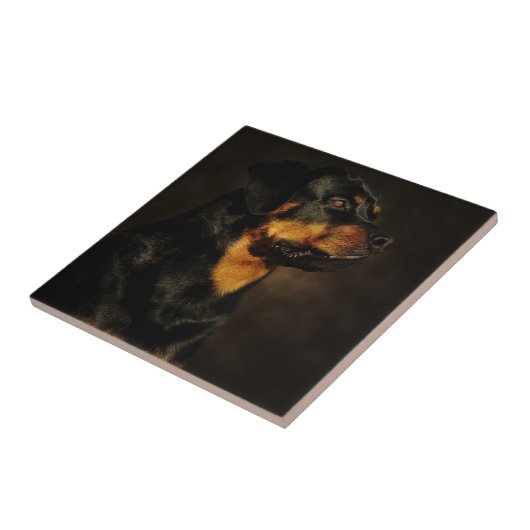 Das Rotty Fliese (Seite)