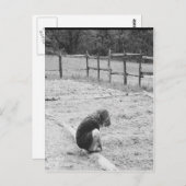 Das Saatgut der Liebe säen Postkarte (Vorne/Hinten)