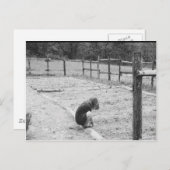 Das Saatgut der Liebe säen Postkarte (Vorne/Hinten)