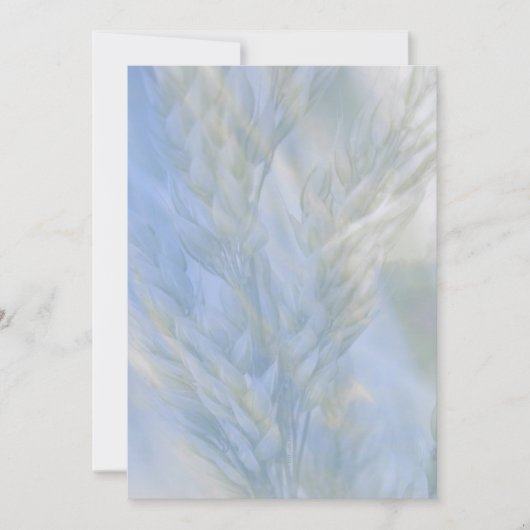 Das Saatgut des Lebens (Vorderseite)