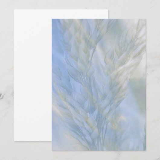 Das Saatgut des Lebens (Vorne/Hinten)