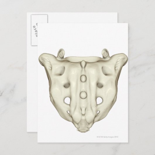 Das Sacrum Postkarte (Vorne/Hinten)