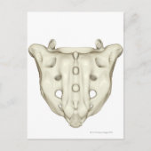 Das Sacrum Postkarte (Vorderseite)