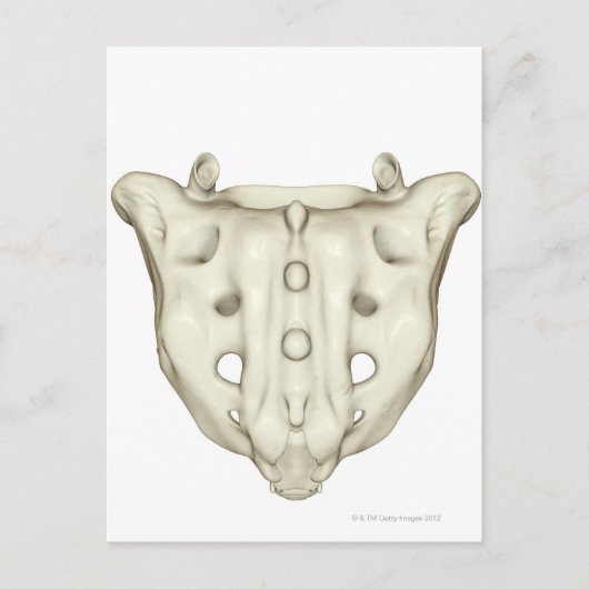 Das Sacrum Postkarte (Vorderseite)