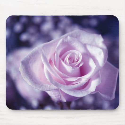 Das sanfte rosa Rosenmousepad Mousepad (Vorne)