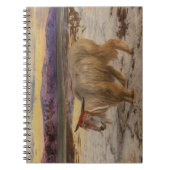 Das Scapegoat-Notebook der Jagd Notizblock (Vorderseite)