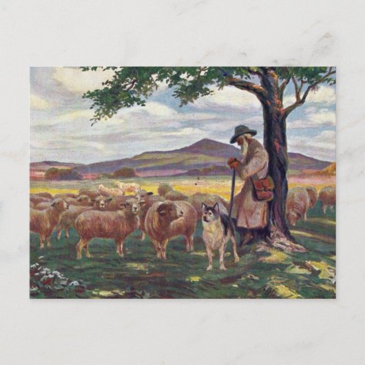 Das Schaf ausschalten Postkarte (Vorderseite)