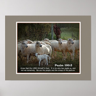 Das Schaf seiner PasturewScriptur Poster