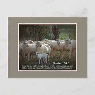 Das Schaf seiner PasturewScriptur Postkarte