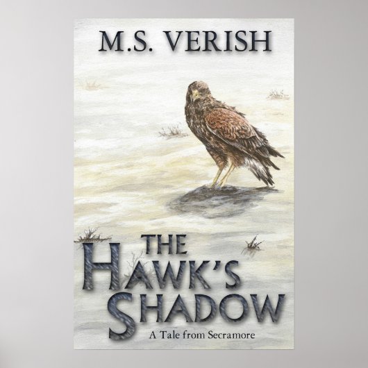 Das Schattenplakat der Hawk Poster (Vorne)