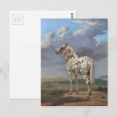 Das Scheckpferd Postkarte (Vorne/Hinten)