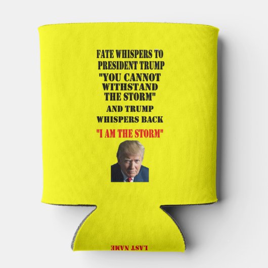 DAS SCHEITERN VON FRAUEN AN PRÄSIDENT TRUMP DOSENKÜHLER (Rückseite)