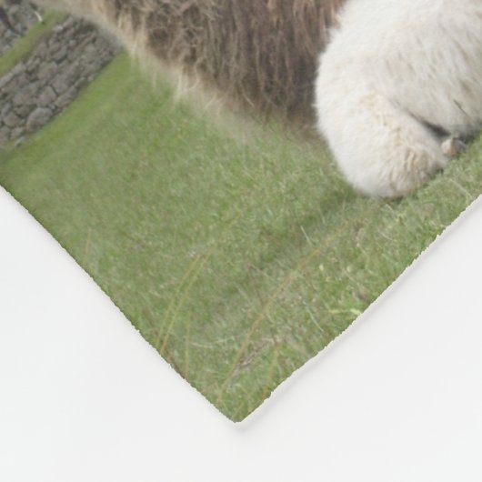Das Schicksal des benutzerdefinierten Llama-Tieres Fleecedecke (Ecke)