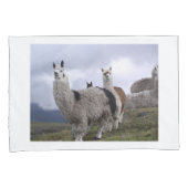 Das Schicksal des benutzerdefinierten Llama-Tieres Kissenbezug (Vorderseite-Rechts)