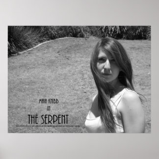 Das schlampige Poster - Maia Knibb