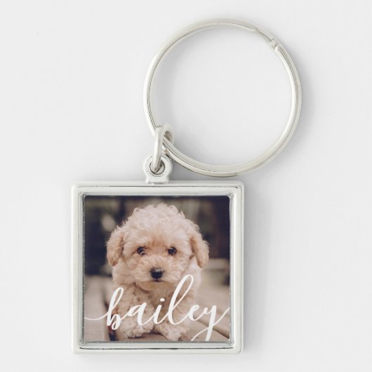 Das schlichte moderne Design des Hauses trägt sein Schlüsselanhänger (Vorne)