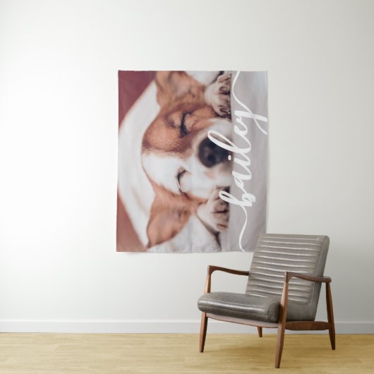 Das schlichte moderne Design des Hauses trägt sein Wandteppich (Beispiel)