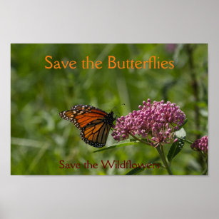 Das Schmetterlingposter gerettet Poster