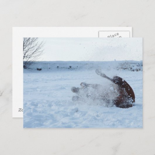 Das Schneebad - Postkarte (Vorne/Hinten)