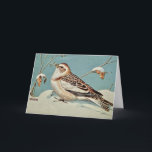 Das Schneebräunen Feiertagskarte<br><div class="desc">Eine Vintage Postkarte des Schneebrässvogels von Künstler: Walter Weber wurde auf eine Notenkarte umgelegt. Benutzen Sie es für jeden Anlass.</div>