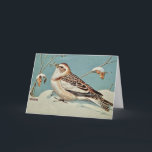 Das Schneebräunen Feiertagskarte<br><div class="desc">Eine Vintage Postkarte des Schneebrässvogels von Künstler: Walter Weber wurde auf eine Notenkarte umgelegt. Benutzen Sie es für jeden Anlass.</div>
