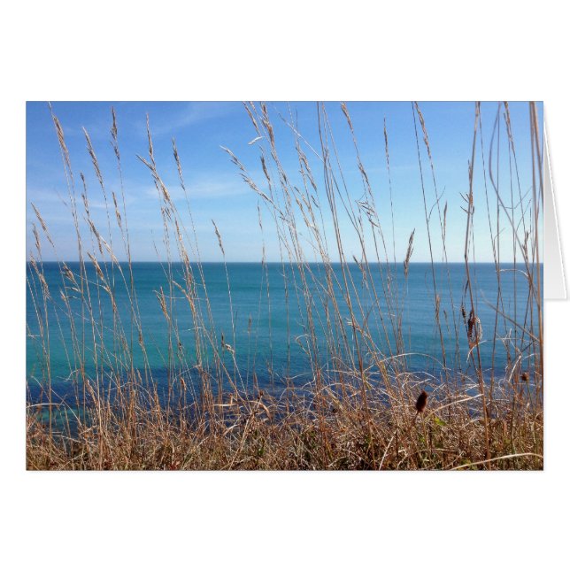 Das schöne Gras und das Meer (Vorderseite (Horizontal))