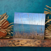 Das schöne Gras und das Meer Fotoplatte (Seite)