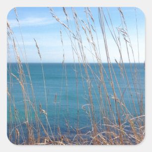 Das schöne Gras und das Meer Quadratischer Aufkleber