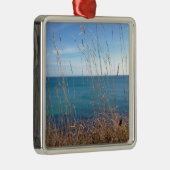 Das schöne Gras und das Meer Silbernes Ornament (Rechts)