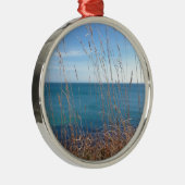 Das schöne Gras und das Meer Silbernes Ornament (Rechts)