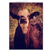 Das schöne Kalb (Vorne)