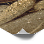 Das schöne Küchenmädchen Poster (Ecke)