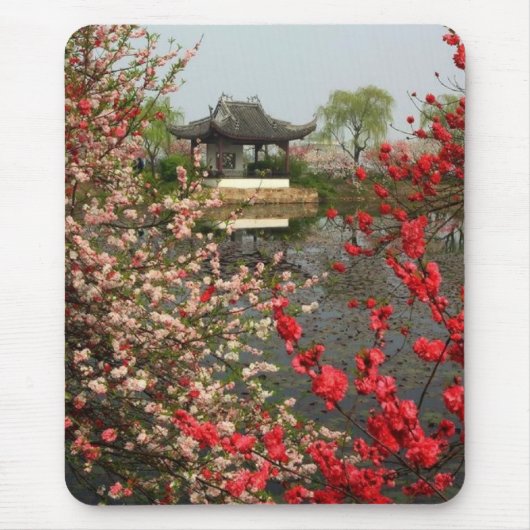 Das schöne Mousepad der Natur (Vorne)