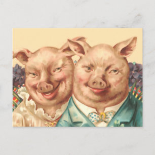 Das schöne Schweinepuppel Postkarte