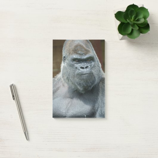 Das schöne Silverback Post-it Klebezettel (Büro)