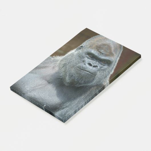 Das schöne Silverback Post-it Klebezettel (angewinkelt)